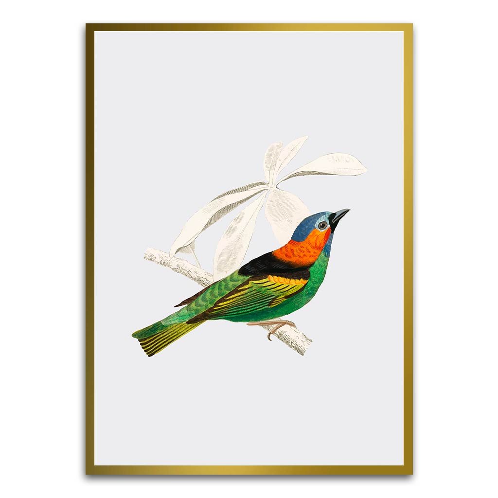 River warbler Gold Printed frame acrylic canvas Frames