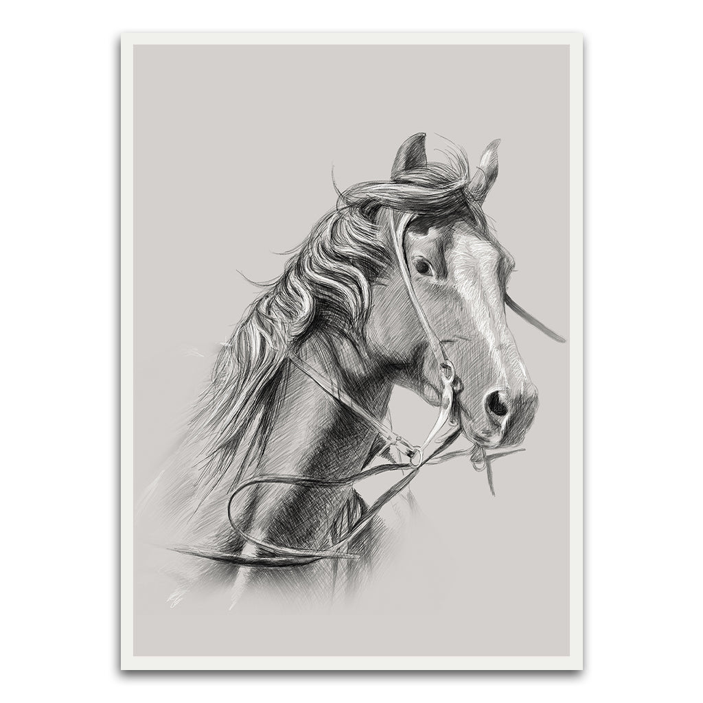 Horse White Printed frame acrylic canvas Frames