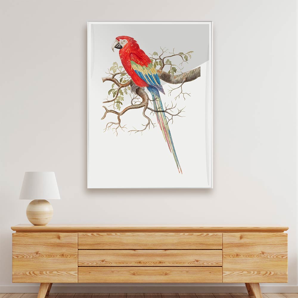 Parrot Acrylic acrylic canvas Frames