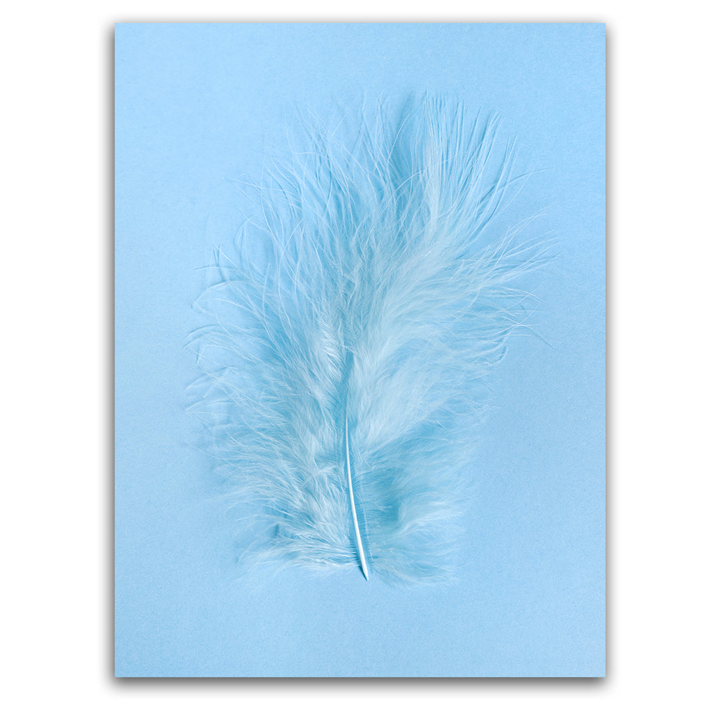 Minimalism Feather acrylic canvas Frames