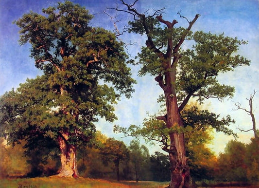 Albert Bierstadt Pioneer Woods 50X157 Canvas