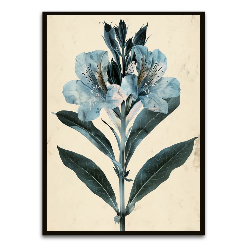 Botanical Art 4 Black Printed frame acrylic canvas Frames