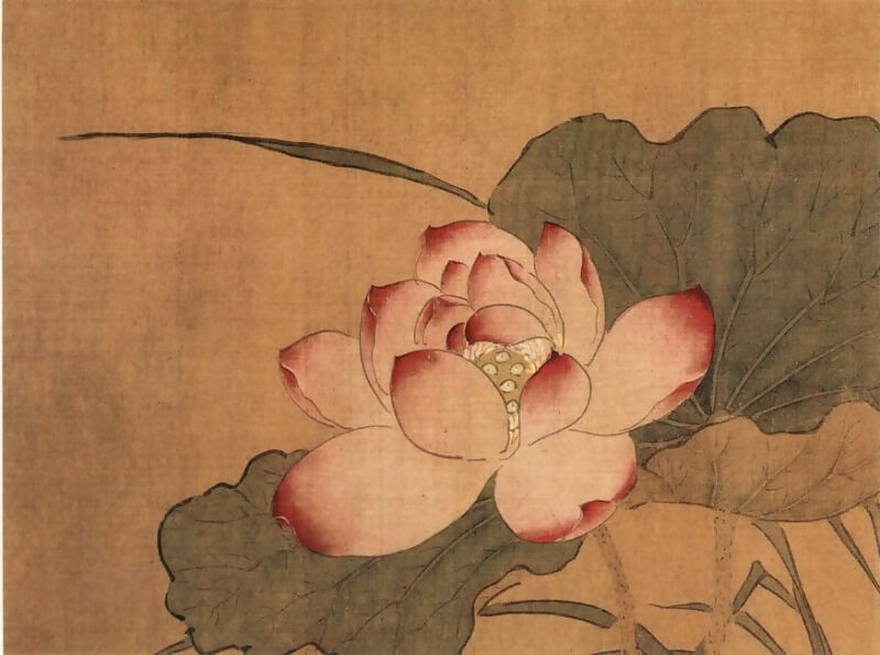 Chinese artists of the Middle Ages (周之冕 - 花鸟图(之—、二)) – Zhou Zhi Mian 50X41 Canvas