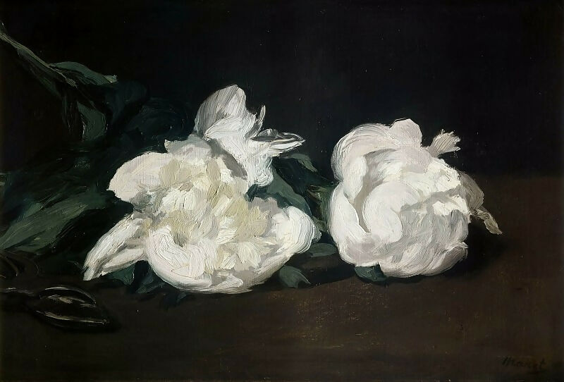 Edouard Manet – White Peonies and Scissors 50X40 Canvas