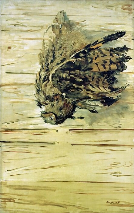 Edouard Manet – Dead OwlEdouard Manet – Dead Owl 50X40 Canvas