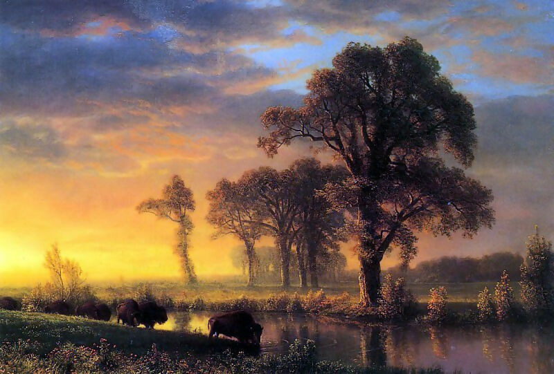Albert Bierstadt - Western Kansas 50X125 Canvas