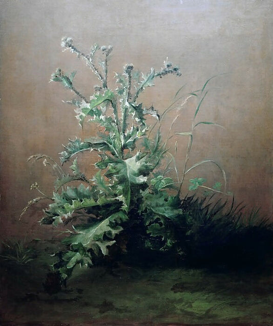 Edouard Manet – Thistle 50X40 Canvas