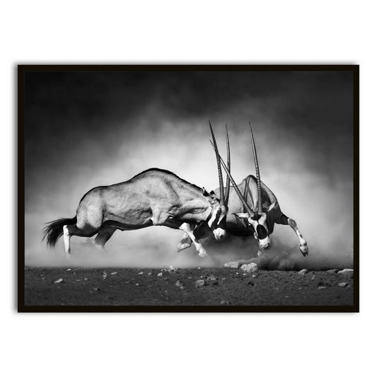 Gazelle Black Printed frame acrylic canvas Frames