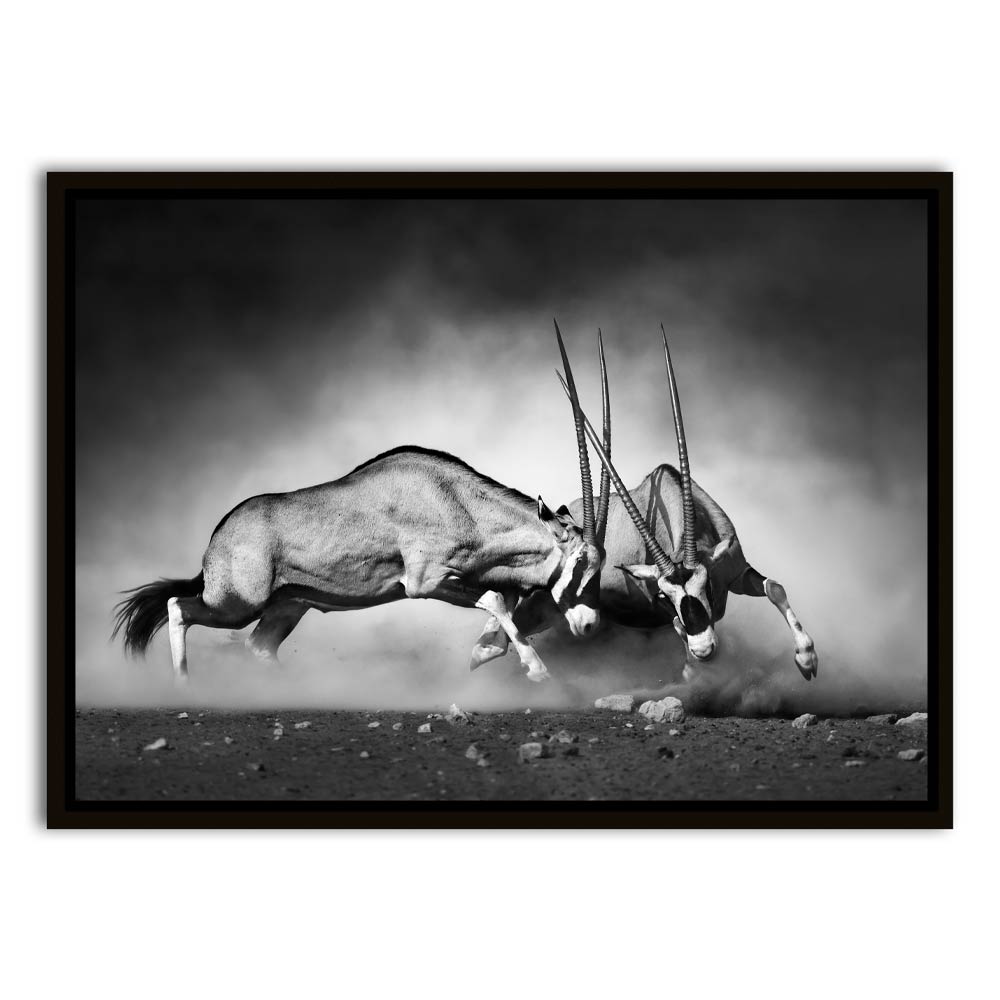 Gazelle Black Canvas frame acrylic canvas Frames