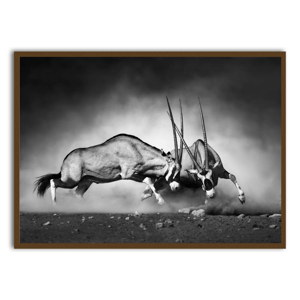 Gazelle Brown Printed frame acrylic canvas Frames