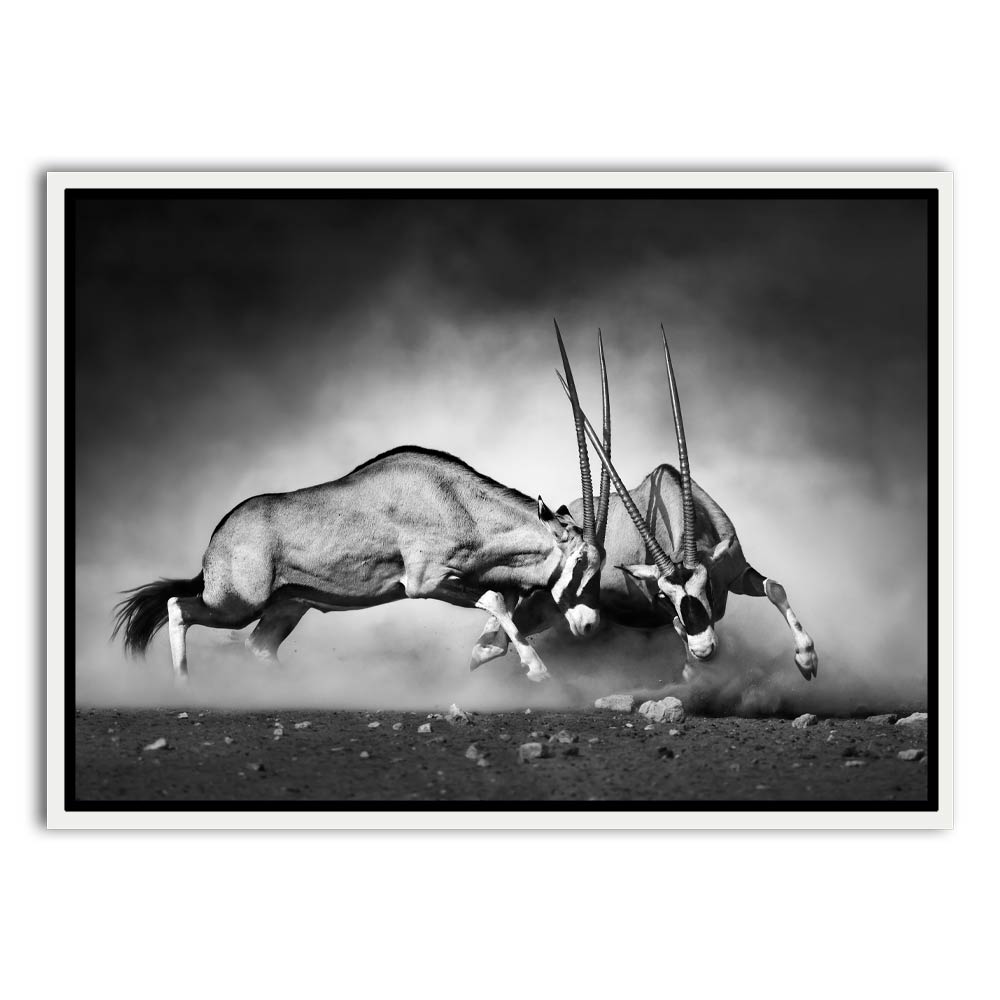 Gazelle White Canvas frame acrylic canvas Frames