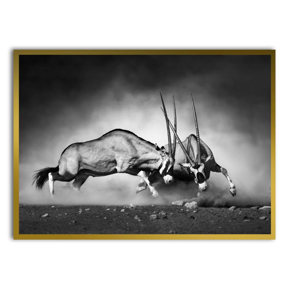 Gazelle Gold Printed frame acrylic canvas Frames