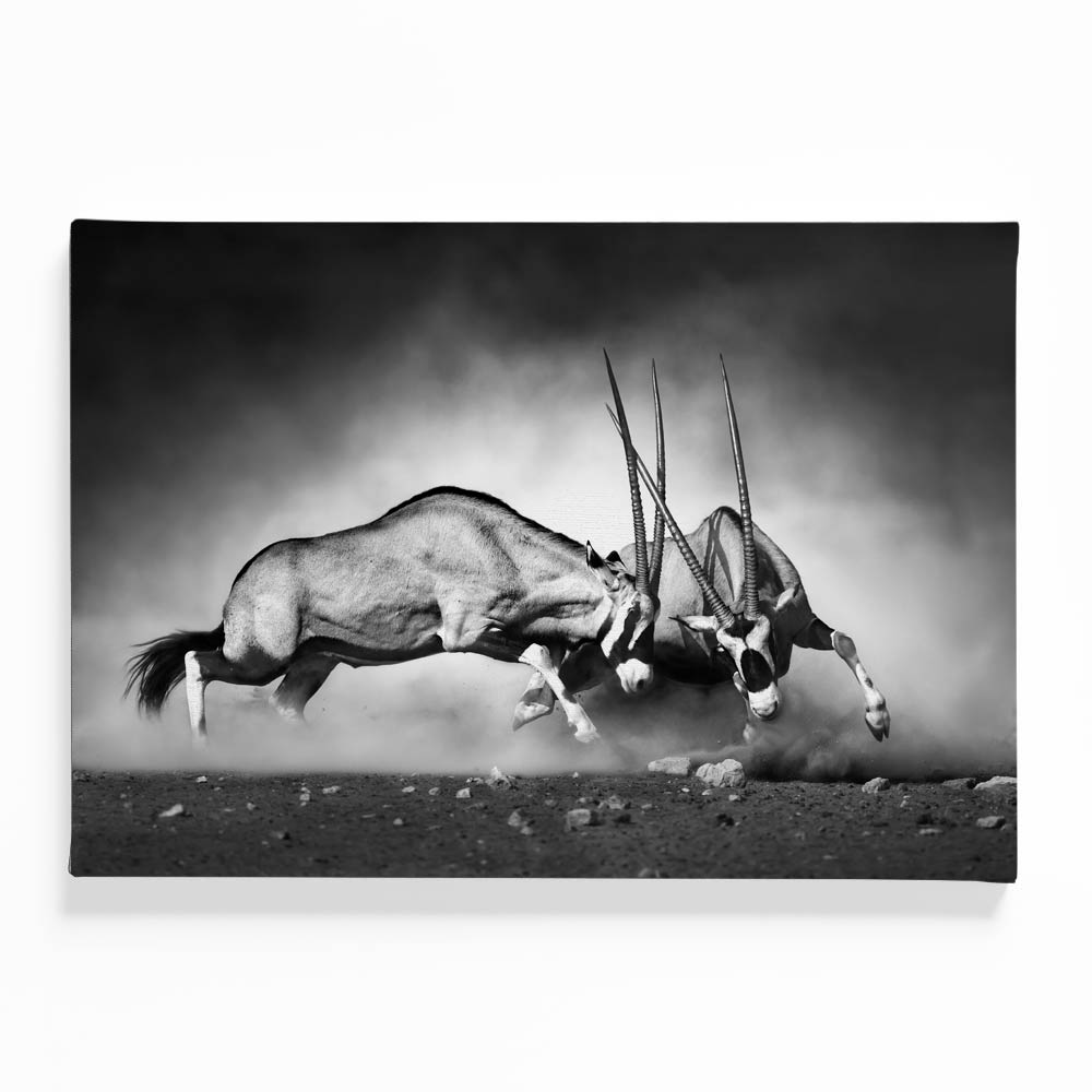 Gazelle Canvas acrylic canvas Frames