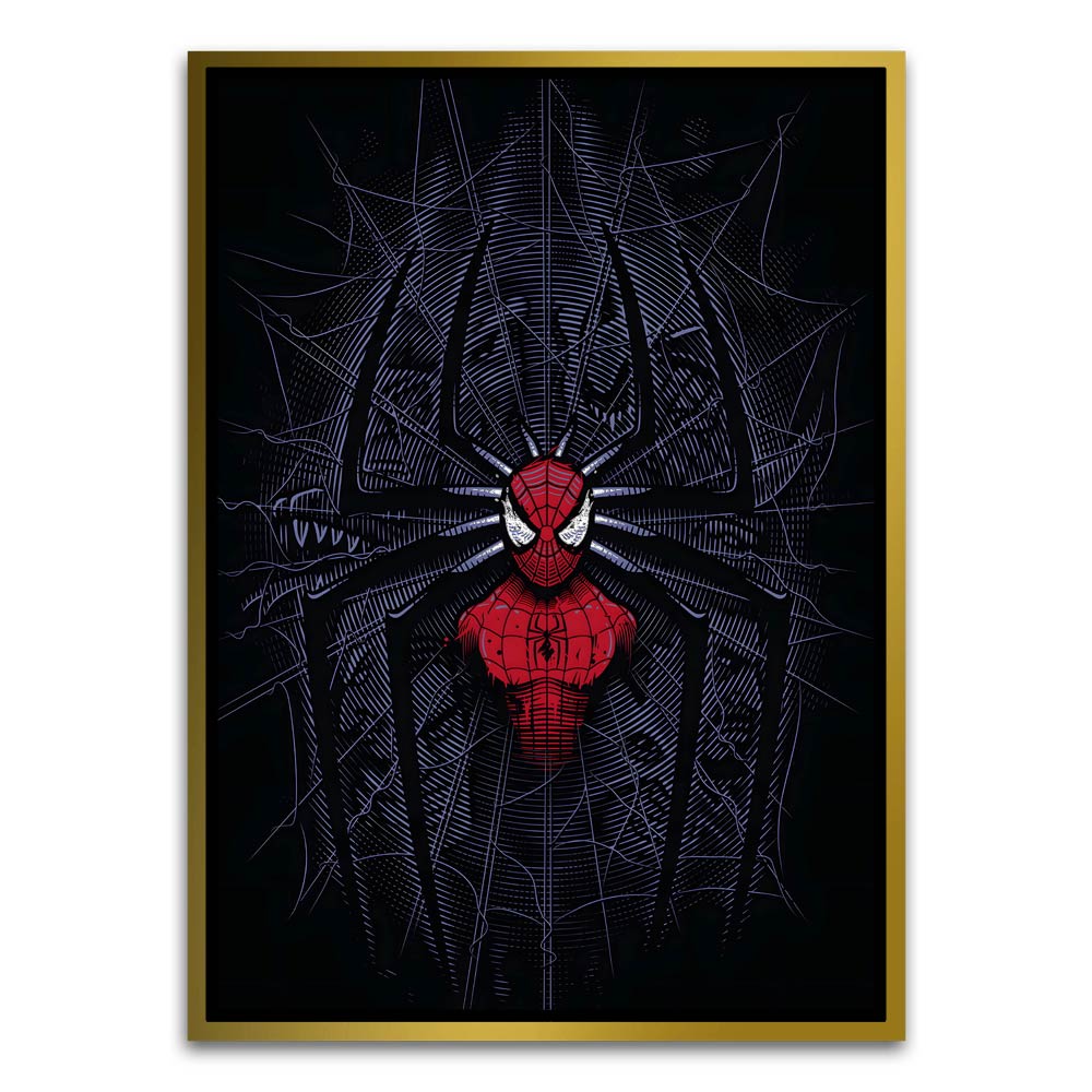 Spider man 13 Canvas frame acrylic canvas Frames