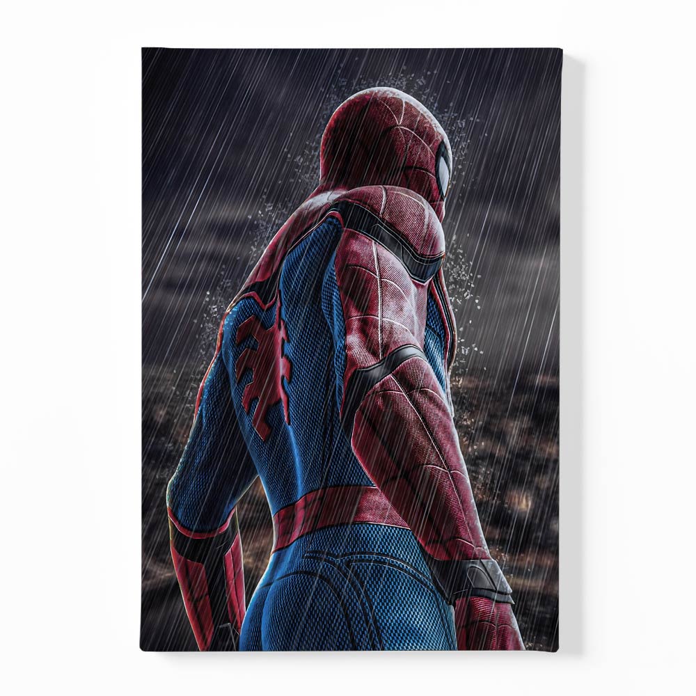 Spider man 8 Canvas acrylic canvas Frames