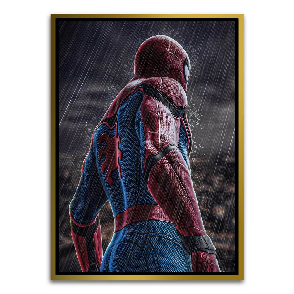 Spider man 8 Gold Canvas frame acrylic canvas Frames