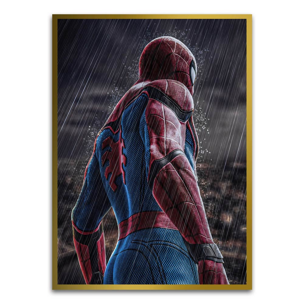 Spider man 8 Gold Printed frame acrylic canvas Frames