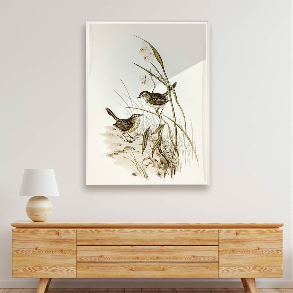 Sparrow Acrylic acrylic canvas Frames