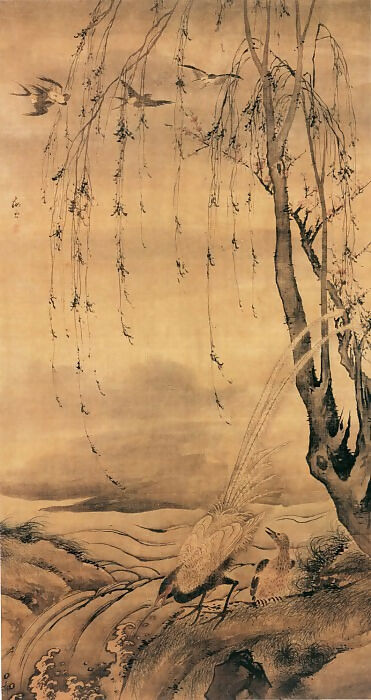 Chinese Painters of the Middle Ages (汪肇 - 柳禽白鹇图) – Wang Zhao 50X40 Canvas